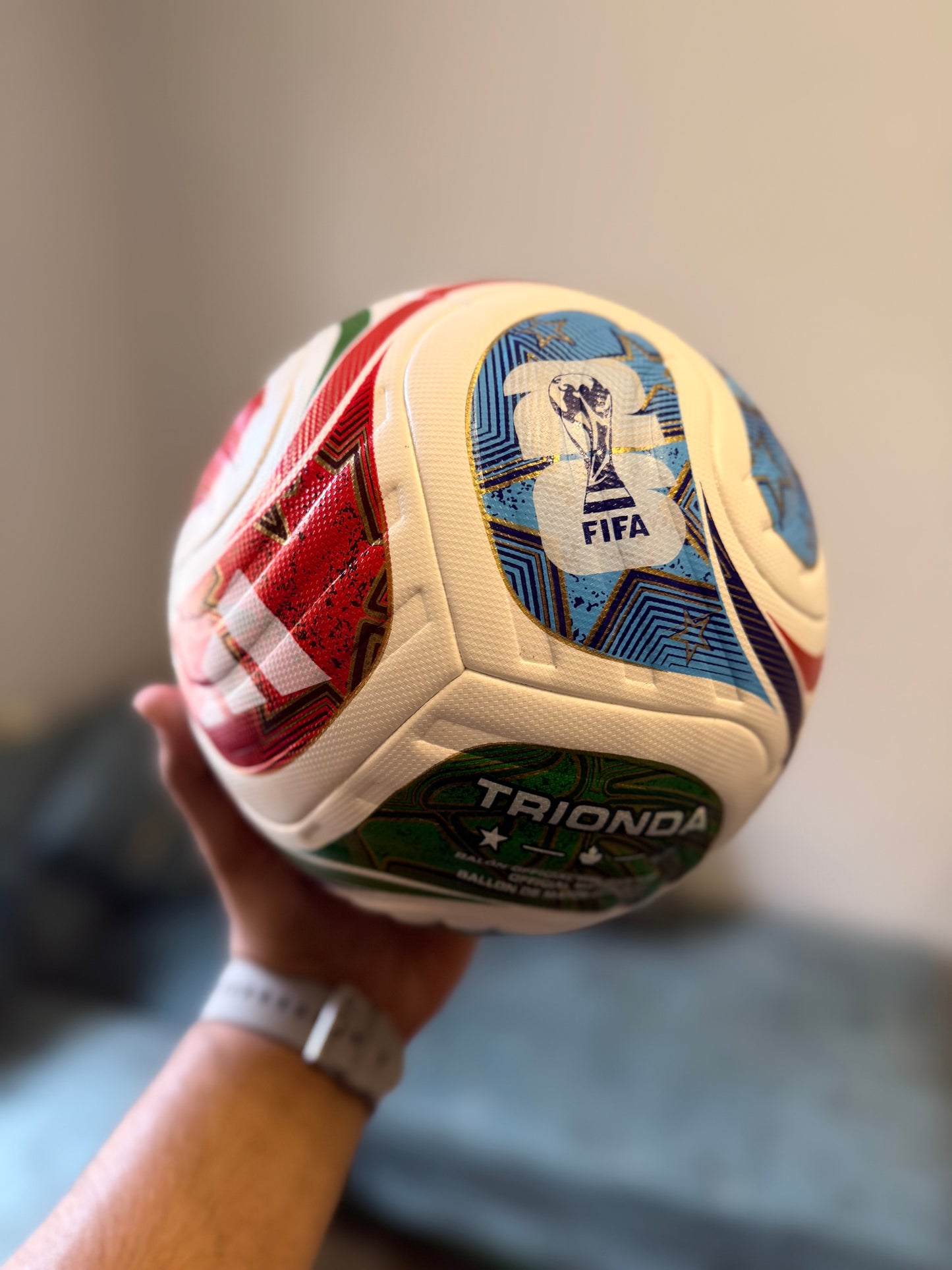 Trionda Official World Cup Match Ball Replica - Same As Original